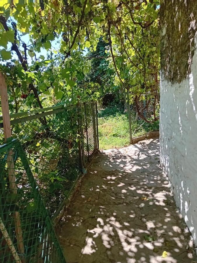 Stone Pazar Guest House Gjirokastra Kültér fotó